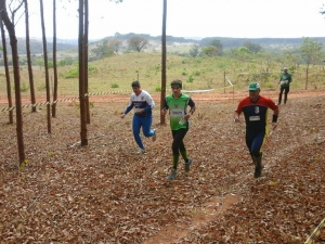 Orientação DF